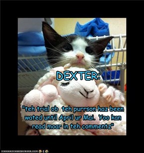 Dexter Animal Abuse Trial Postponed