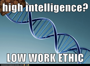 high intelligence?  LOW WORK ETHIC