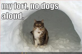 my fort, no dogs aloud.