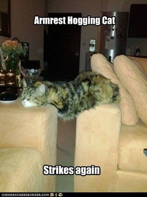 Armrest Hogging Cat