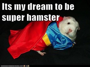 Its my dream to be super hamster