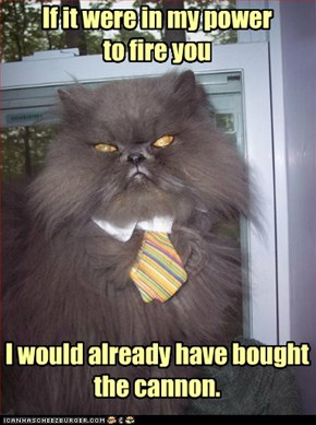 middle-management cat is literal