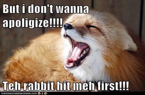 But i don't wanna apoligize!!!!  Teh rabbit hit meh first!!!