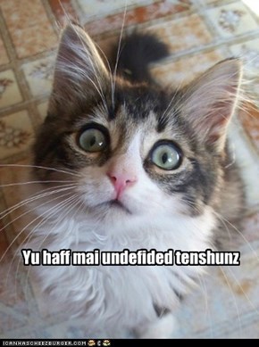 Yu haff mai undefided tenshunz