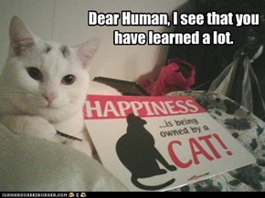 Dear Human, I see that you have learned a lot.