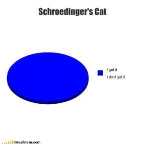 Schroedinger's Cat