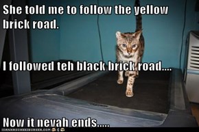 She told me to follow the yellow brick road. I followed teh black brick road.... Now it nevah ends.....