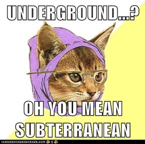 Hipster Kitty: The Underground Is So Mainstream