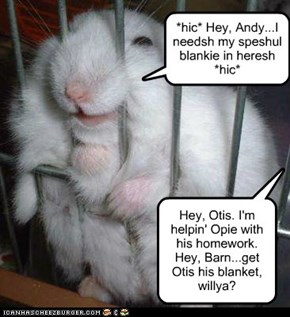 In the Hamsterberry Jail