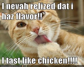 I nevah relized dat i haz flavor!!  I tast like chicken!!!!