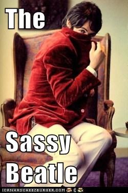 The   Sassy Beatle