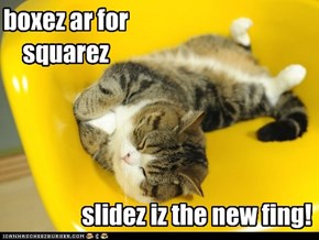 Sleep and slide, it's a kitteh thing