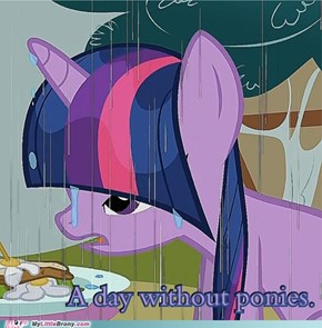 A Day Without Ponies
