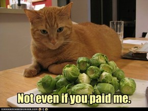 Not even if you paid me.
