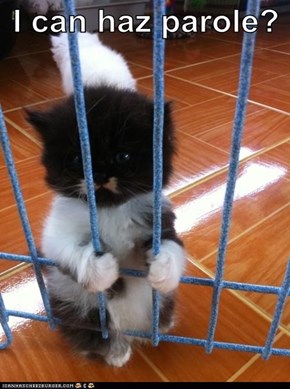 I can haz parole?