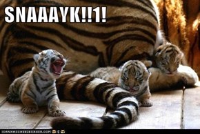 SNAAAYK!!1!