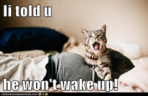 Ii told u  he won't wake up!