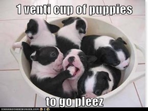 1 venti cup of puppies  to go pleez
