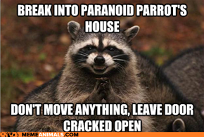 Animal Memes: Evil Plotting Raccoon - It's Just Crazy Enough to Work!