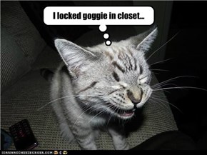 I locked goggie in closet...