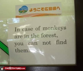 Where Did The Monkeys Go?