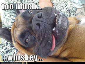 too much...  ...whiskey...