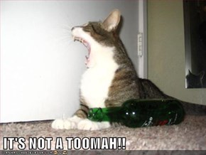 IT'S NOT A TOOMAH!!