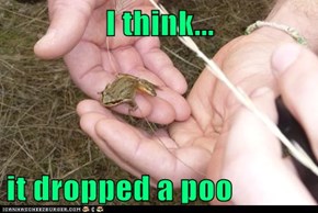 I think...  it dropped a poo