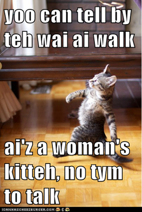 yoo can tell by teh wai ai walk  ai'z a woman's kitteh, no tym to talk