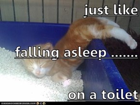 just like  falling asleep ....... on a toilet