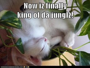 Now iz finally                             king of da junglz!