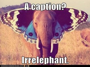 A caption?  Irrelephant.