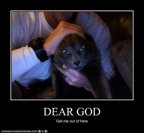 DEAR GOD