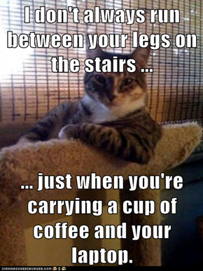 I don't always run between your legs on the stairs ...  ... just when you're carrying a cup of coffee and your laptop.