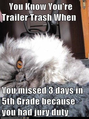 You Know You're Trailer Trash When  You missed 3 days in 5th Grade because you had jury duty