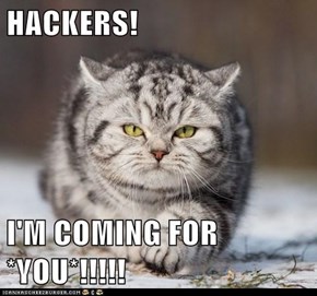 HACKERS!  I'M COMING FOR *YOU*!!!!!