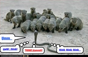 qwik!...think!