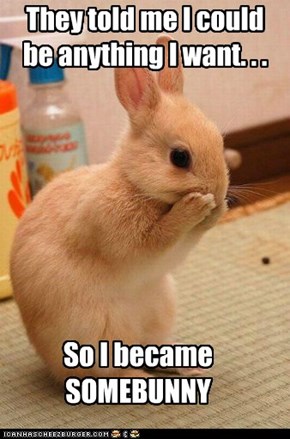 Animal Capshunz: I Coulda Been a Contender