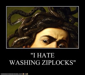 "I HATE WASHING ZIPLOCKS"