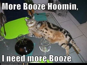More Booze Hoomin,  I need more Booze