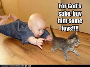 For God's sake, buy him some toys!!!!