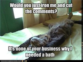 Would you just iron me and cut the comments?