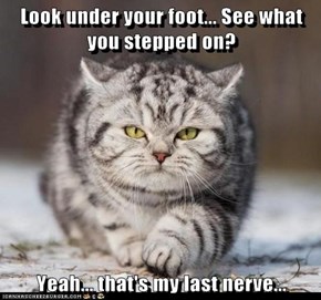 Look under your foot... See what you stepped on?  Yeah... that's my last nerve...