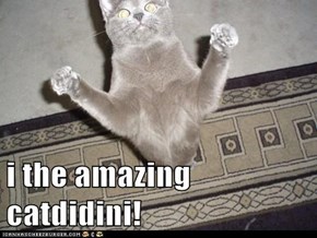 i the amazing catdidini!