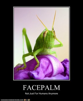 Even Insects Need to Express Frustration