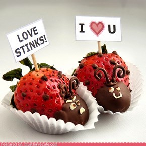 Epicute: Sweet Stinkbugs