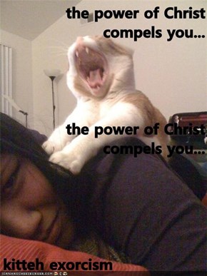 the power of Christ compels you... the power of Christ compels you... kitteh exorcism