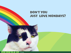 Ironically Content Feline loves mondays