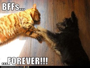 BFFs...  ...FOREVER!!!