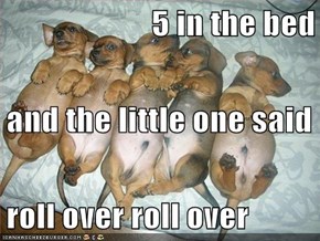 5 in the bed